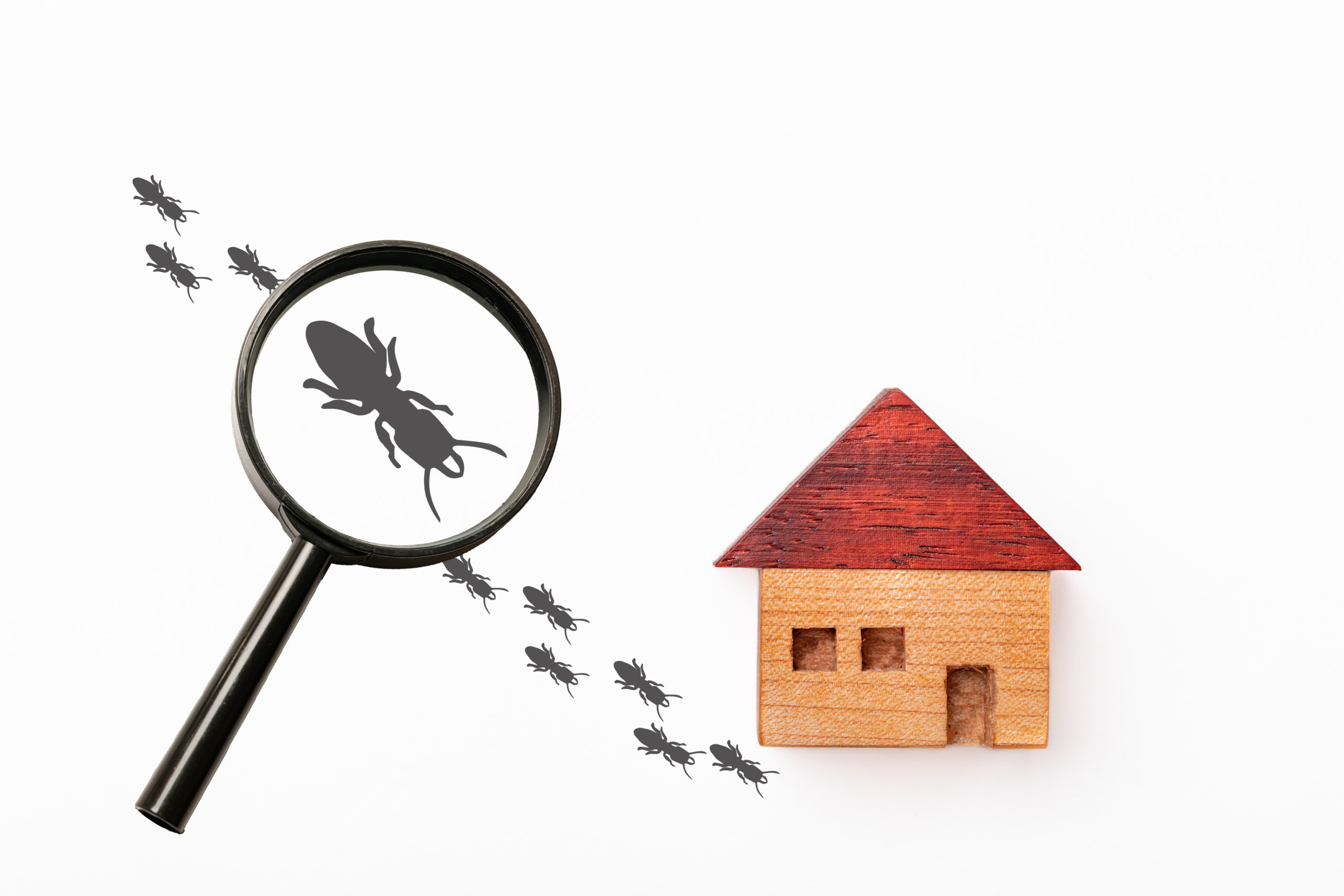 家に虫を寄せ付けない！家づくりから考える害虫対策